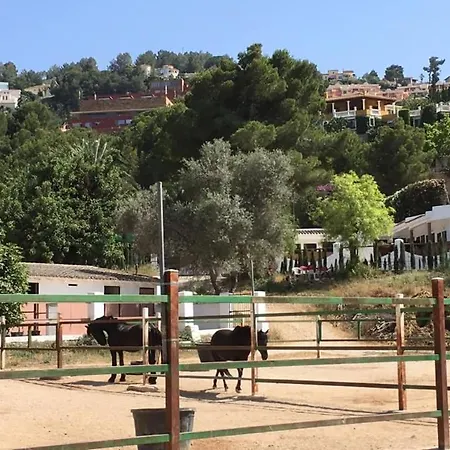 Bungalow Los Almendros Педрегер