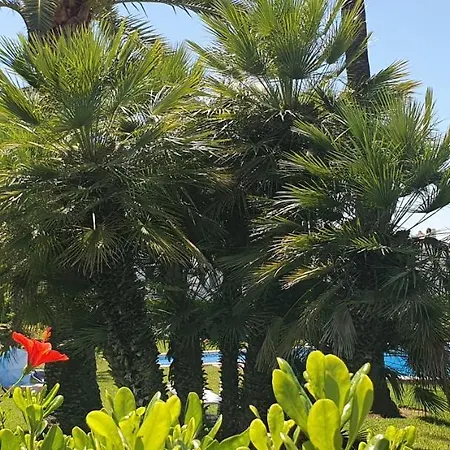 Апартаменты Bungalow Los Almendros Педрегер